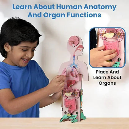 Smartivity Human Body STEM DIY Fun Toys for Kids 6 to 12, 20 Cards Learn About Organs, Functions, Health &amp; Diet, Best Gift Toy for Boys &amp; Girls Age 6-8-10-12, Science Toy, Educational Based Activity Game - Jaiman Toys