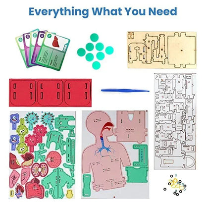 Smartivity Human Body STEM DIY Fun Toys for Kids 6 to 12, 20 Cards Learn About Organs, Functions, Health &amp; Diet, Best Gift Toy for Boys &amp; Girls Age 6-8-10-12, Science Toy, Educational Based Activity Game - Jaiman Toys