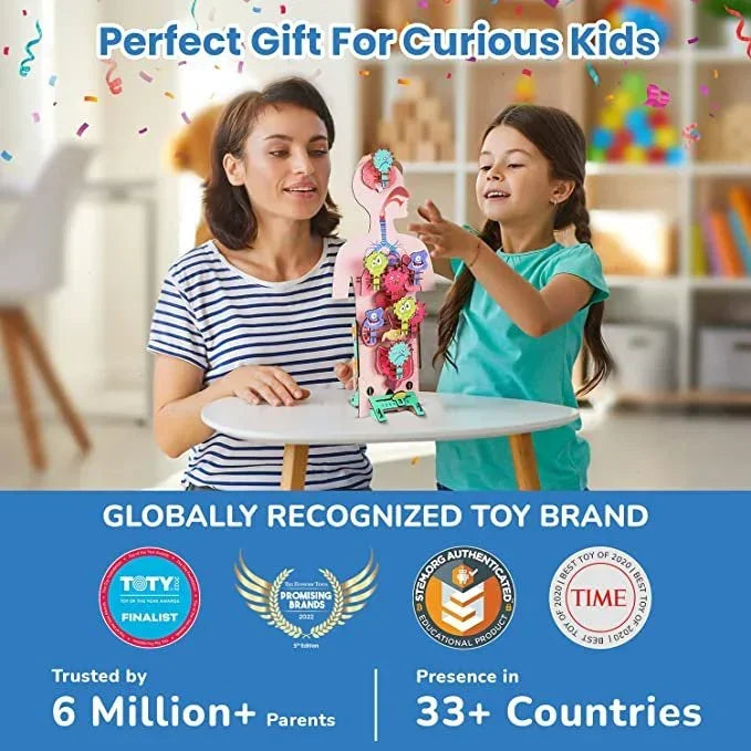 Smartivity Human Body STEM DIY Fun Toys for Kids 6 to 12, 20 Cards Learn About Organs, Functions, Health &amp; Diet, Best Gift Toy for Boys &amp; Girls Age 6-8-10-12, Science Toy, Educational Based Activity Game - Jaiman Toys