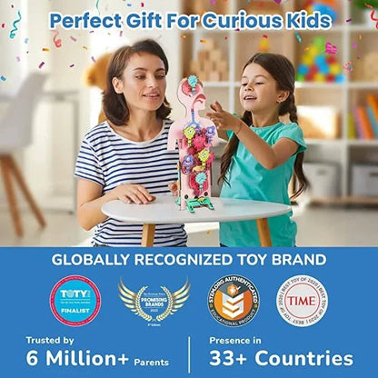 Smartivity Human Body STEM DIY Fun Toys for Kids 6 to 12, 20 Cards Learn About Organs, Functions, Health &amp; Diet, Best Gift Toy for Boys &amp; Girls Age 6-8-10-12, Science Toy, Educational Based Activity Game - Jaiman Toys