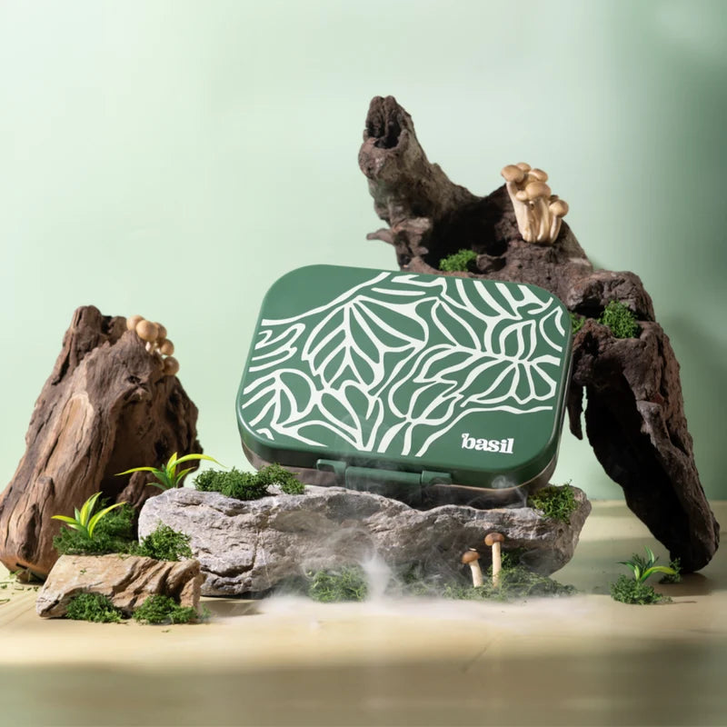 Bento Quad Emerald Moss - 4 Compartment Stainless Steel Lunchbox with Plastic Lid