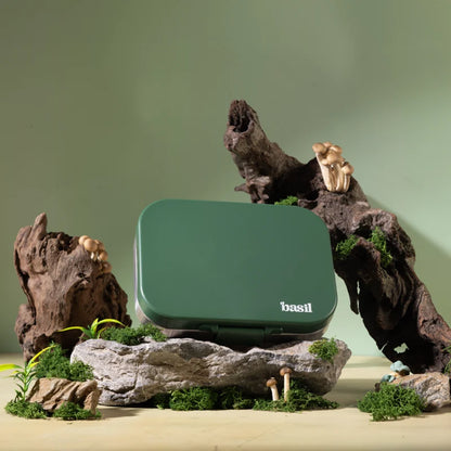 Bento Quad - 4 Compartment Stainless Steel Lunchbox with Plastic Lid - Wild Wood